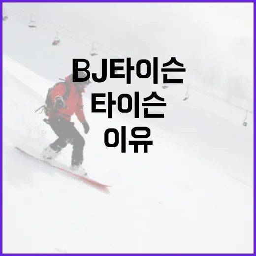 BJ타이슨의 매력: 그의 인기 비결과 그가 사랑받는 이유 - 요약