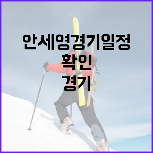 안세영 경기일정, 이렇게 확인하세요! - 요약