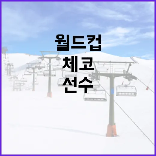 체코 월드컵 명단: 기대되는 선수들 알아보기 - 요약