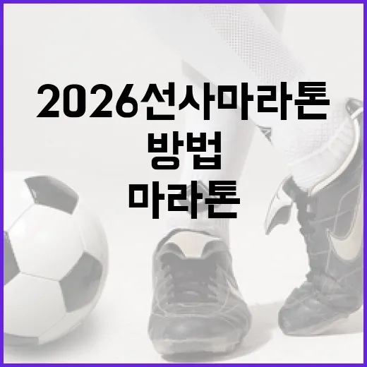 2026 선사마라톤 준비하는 방법 - 요약