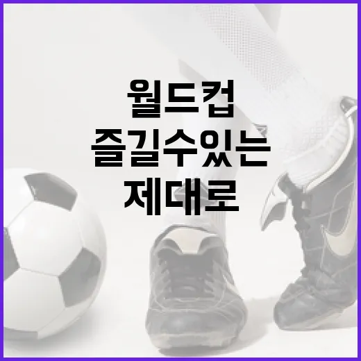 월드컵을 제대로 즐길 수 있는 방법 - 요약