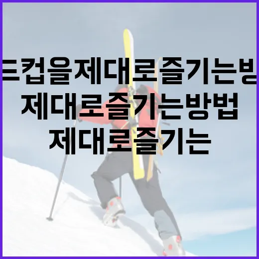 월드컵을 제대로 즐기는 방법, 이렇게 해보세요! - 요약