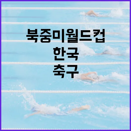 한국 축구, 북중미 월드컵에서 살아남는 법 - 요약