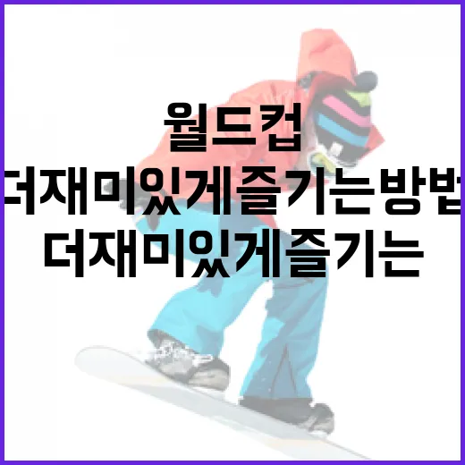 월드컵을 더 재미있게 즐기는 방법 - 요약