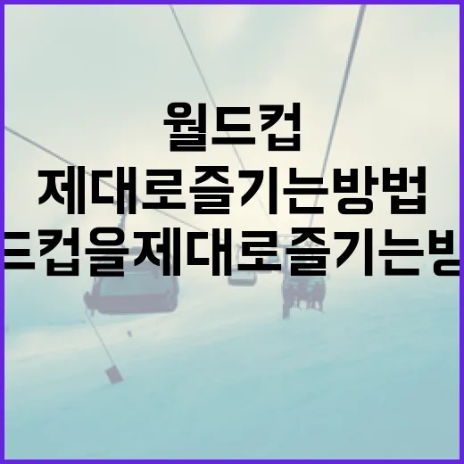 월드컵을 제대로 즐기는 방법 - 요약