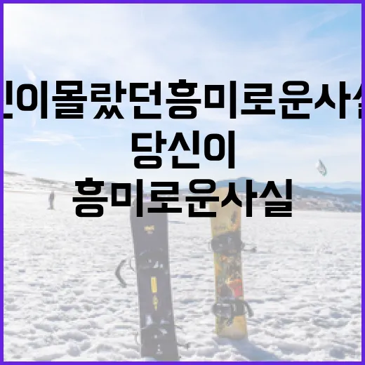 장가연, 당신이 몰랐던 흥미로운 사실들 - 요약