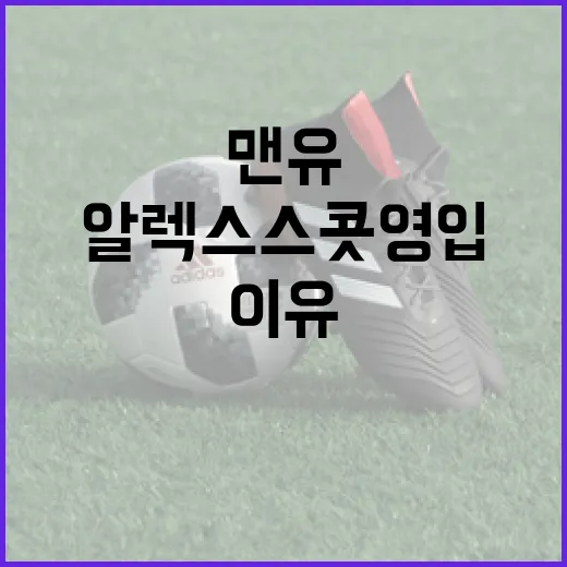 맨유가 알렉스 스콧 영입을 노리는 이유와 전망 - 요약