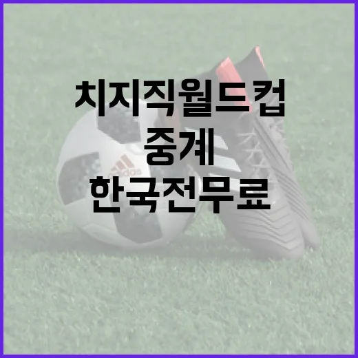 치지직 월드컵 한국전 무료중계 어디서 볼 수 있을까? - 요약