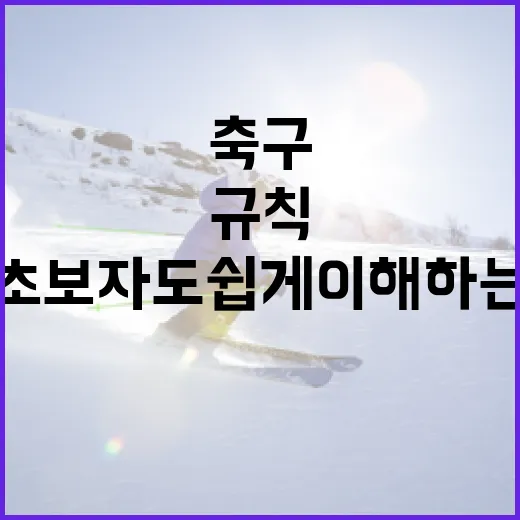 축구 초보자도 쉽게 이해하는 경기 규칙 - 요약
