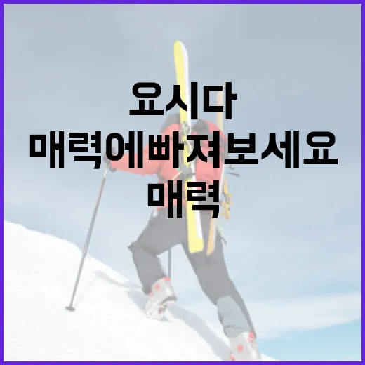 요시다 린을 이해하는 방법, 그의 매력에 빠져보세요 - 요약