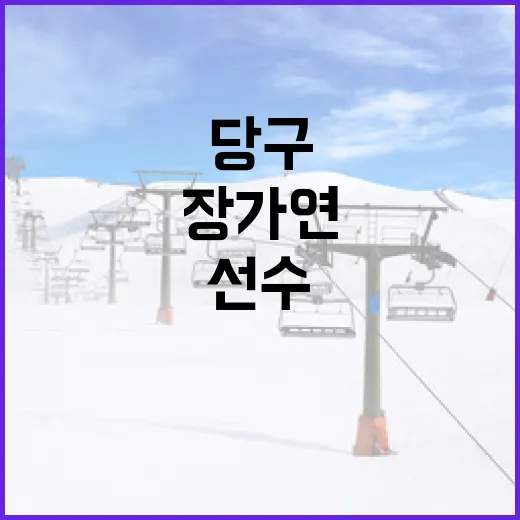 당구선수 장가연의 비결, 그녀의 성공 스토리 - 요약