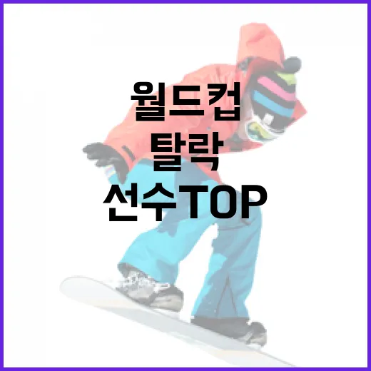 월드컵 탈락 선수 TOP3, 이유와 이야기 - 요약
