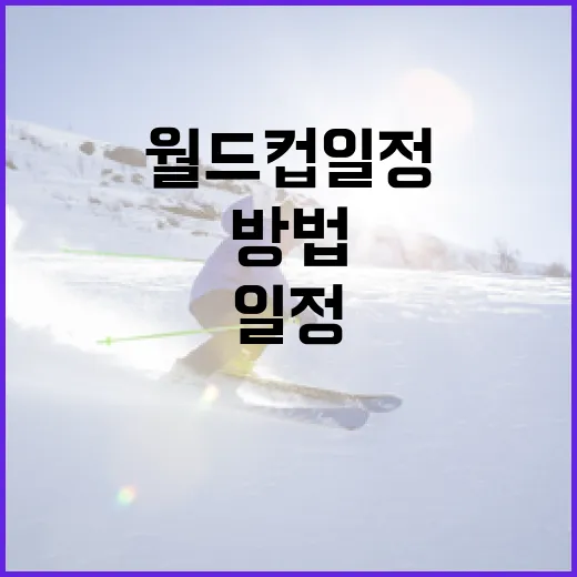 월드컵 일정 쉽게 파악하는 방법 - 요약
