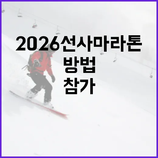 2026 선사마라톤 참가하는 방법과 준비 팁 - 요약