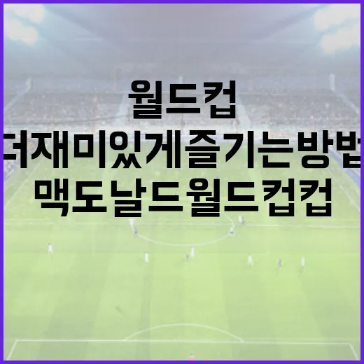 맥도날드 월드컵 컵을 더 재미있게 즐기는 방법 - 요약