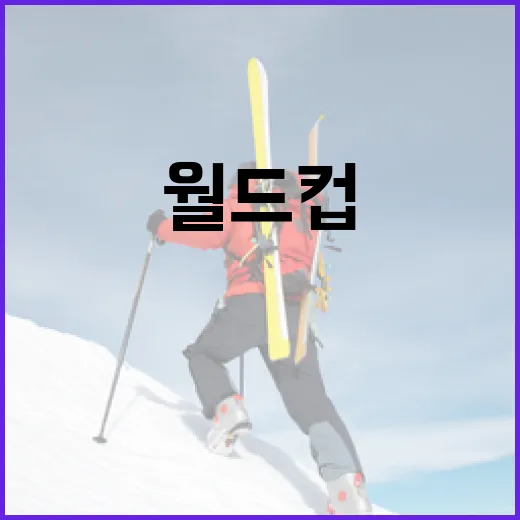 월드컵 중계, OTT로 제대로 즐기는 방법 - 요약