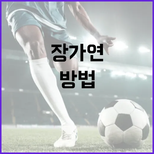 장가연을 효과적으로 활용하는 방법 - 요약
