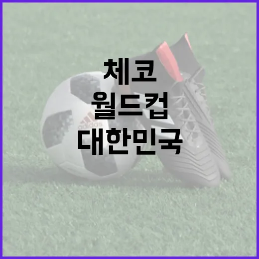 대한민국과 체코의 월드컵 여정: 이색적인 이야기 - 요약