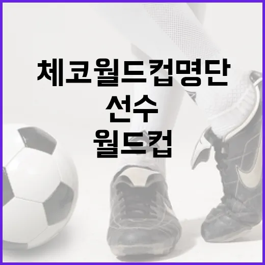 체코 월드컵 명단을 알아보자: 주목할 선수들 - 요약