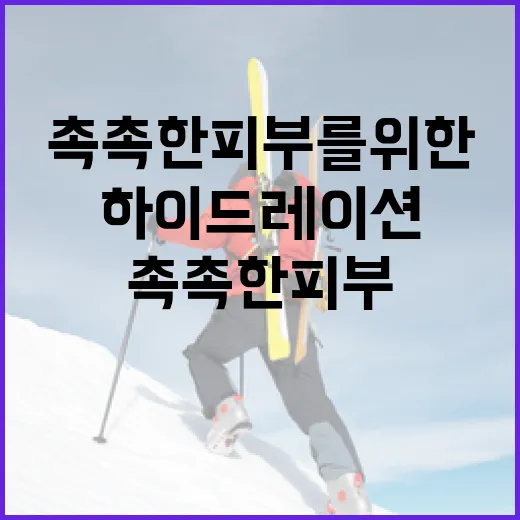 촉촉한 피부를 위한 하이드레이션 방법 - 요약