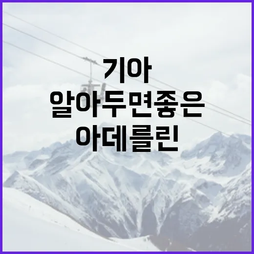 기아 아데를린: 알아두면 좋은 점들 - 요약