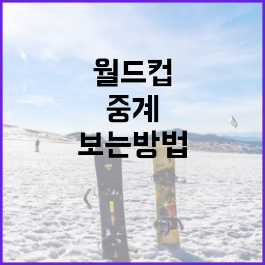 월드컵 중계, 쉽게 보는 방법 - 요약
