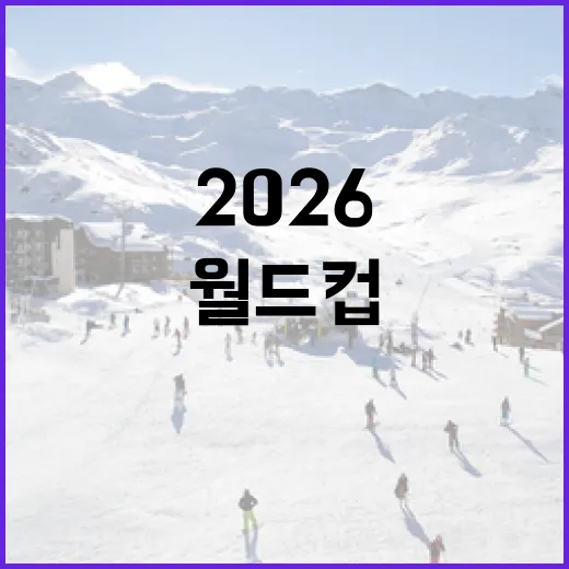 2026 월드컵 중계, OTT로 즐기는 법 - 요약