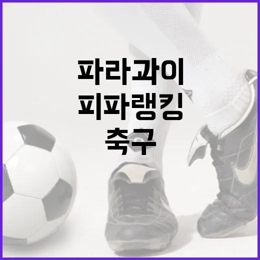 파라과이 축구, 피파랭킹을 통해 본 현재와 미래 - 요약