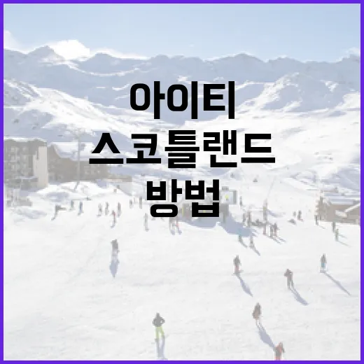 아이티 전문가가 스코틀랜드에서 일하는 방법 - 요약
