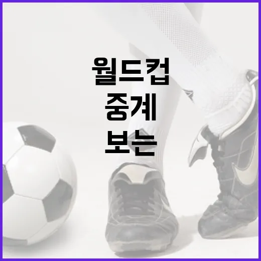 월드컵 중계를 쉽게 보는 방법: 당신의 최적의 선택은? - 요약