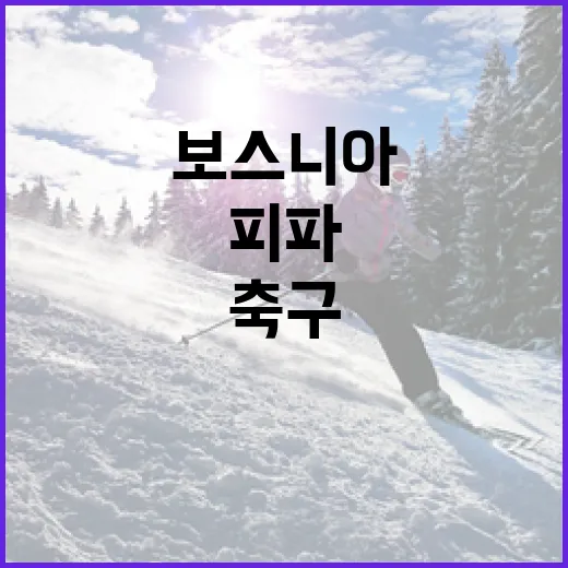 보스니아 축구 피파 순위 알아보기 - 요약