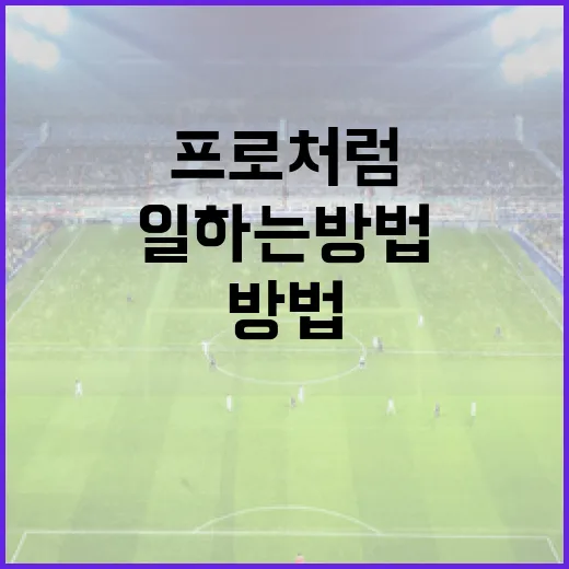 김민솔 프로처럼 성공적으로 일하는 방법 - 요약