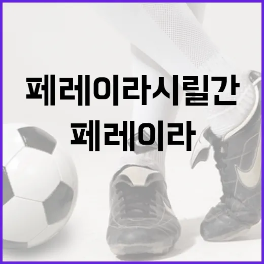 페레이라 시릴간을 이해하는 쉬운 방법 - 요약