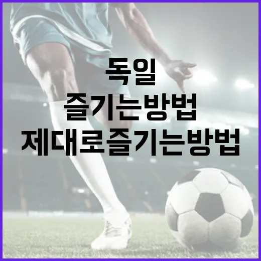 독일 퀴라소 제대로 즐기는 방법 - 요약