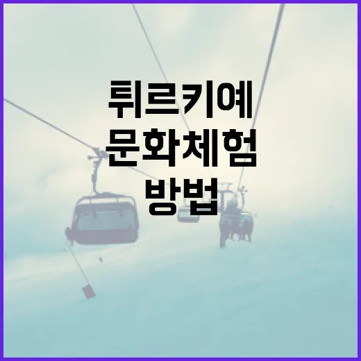 호주와 튀르키예의 매력적인 문화 체험 방법 - 요약