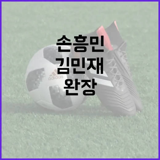 김민재와 손흥민: 주장 완장을 둘러싼 이야기 - 요약
