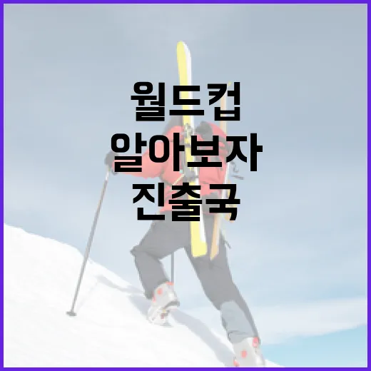 월드컵 아시아 진출국, 그 비밀을 알아보자! - 요약