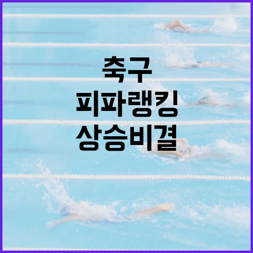 튀르키예 축구, 피파랭킹 상승 비결은? - 요약