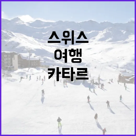 카타르와 스위스를 효과적으로 여행하는 방법 - 요약