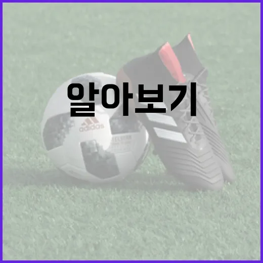 브라질과 모로코의 …