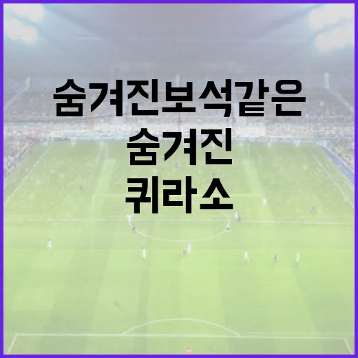 퀴라소: 숨겨진 보석 같은 나라를 즐기는 방법 - 요약