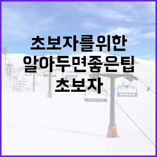 UFC FREEDOM 250: 초보자를 위한 알아두면 좋은 팁 - 요약