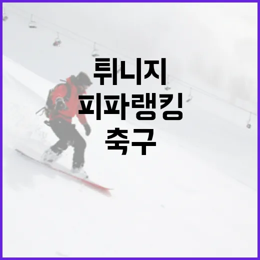 튀니지 축구, 피파랭킹에서 빛나는 이유 - 요약