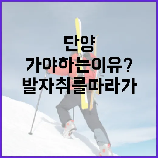 단양에 가야 하는 이유? 김세진 감독의 발자취를 따라가 보세요! - 요약