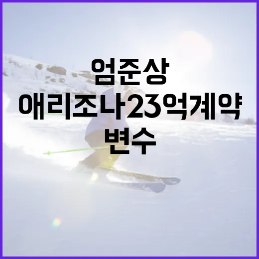 엄준상의 애리조나 23억 계약, 당신이 알아야 할 변수들 - 요약