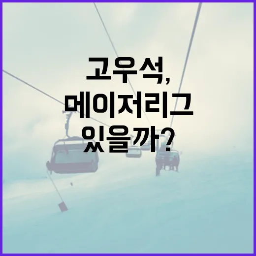고우석, 메이저리그에 도전할 수 있을까? - 요약