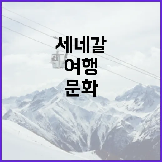 프랑스와 세네갈의 매력적인 만남: 문화와 음식으로 여행하기 - 요약