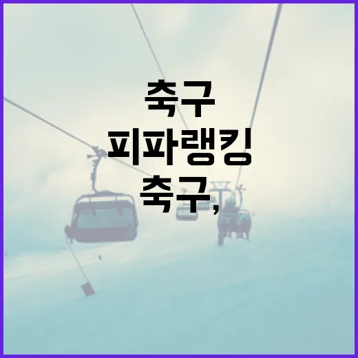 격투기의 매력, 저스틴 게이치의 비밀을 파헤치다 - 요약