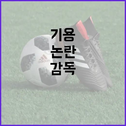 고우석, 감독 기용 논란의 이유와 그 배경 - 요약