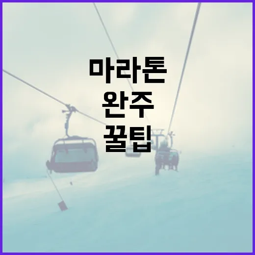 평택항 마라톤 완주를 위한 꿀팁 - 요약